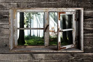 Black Forest Scenery Prints: View through a rustic wooden window into the cloud forest