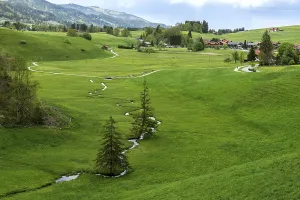 Small Stream Germany Prints: View of small stream and meadows
