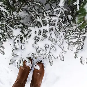 Framed Print : Winter Boots in Snowy Pine Landscape Print Framed Print : Winter Boots in Snowy Pine Landscape Print