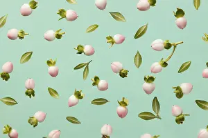 Embellished Floral Decoration Prints: Top view spring flower buds