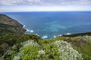 Madeira Island Landscape Prints: View of steep cliffs overgrown with forest