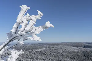 Snowy Winter Landscape Germany Prints: View from the summit of the Hornisgrinde