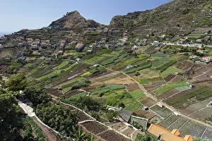 No People In Madeira Island Prints: View of terraced fields in Camara de Lobos