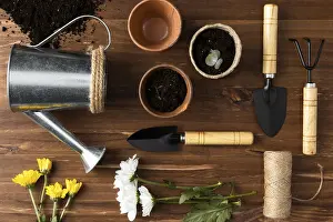 Top View Gardening Tools Prints: Top view tools gardening