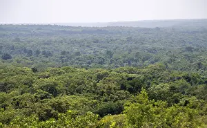 Murchison Falls National Park Prints: View over trees, dense rainforest