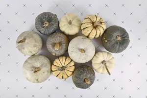 Decorative Gourds Prints: Top view of various different green
