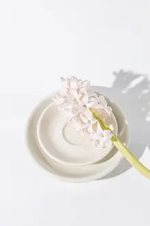 Top View Of Tableware Prints: Top view of white ceramic cups