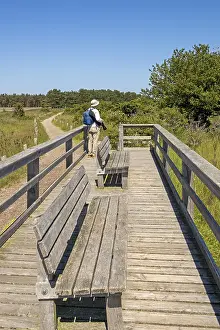 German Hiking Trails Prints: Viewing platform, benches, man