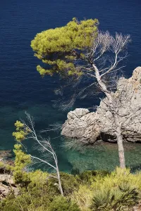 Balearic Islands Scenery Prints: Views of the bay of Pollenca, Majorca