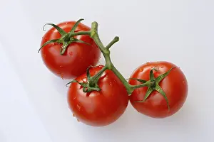 Raw Vegetable Nutrition Prints: Vine tomatoes