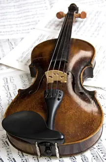 Violin Making Prints: Violin