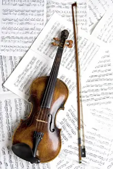 String Instrument Prints: Violin
