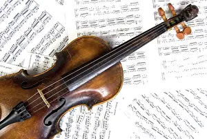 String Instrument Prints: Violin