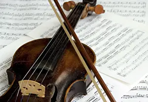String Instrument Prints: Violin