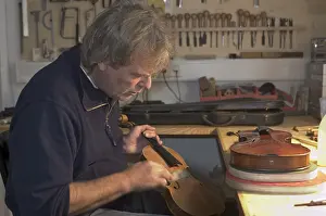Musical Instrument Maker Prints: Violin-maker is reparing a violin