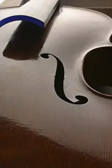 Violin Detail Prints: Violin without strings