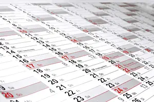 Month By Month Planning Prints: Wall calendar