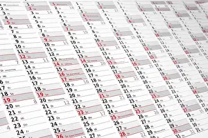 Annual Planning Calendar Prints: Wall calendar