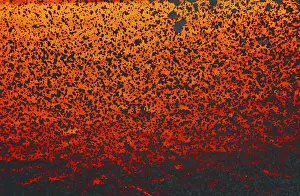 Abstract Architectural Style Prints: Wall surface painted texture of abstract background