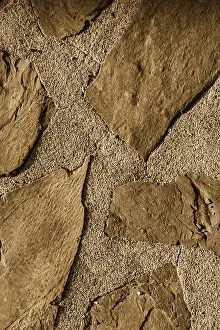 Grunge Wall Texture Prints: Wall surface as a simple grunge background texture pattern