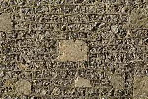 European Architecture Details Prints: Detail of the wall, Wolvesey Castle