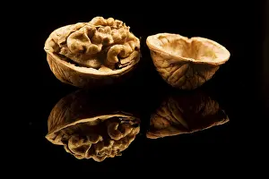 Healthy Eating Walnuts Prints: Walnut