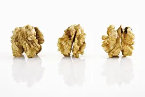 Studio Shot Of Walnuts Prints: Three walnut nuts
