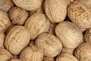 Walnut Photography Prints: Walnuts