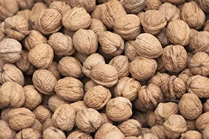 Walnut Photography Prints: Walnuts