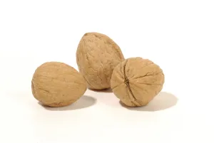 Close Up Walnuts Prints: Walnuts