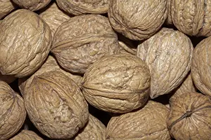 Walnut Background Prints: Walnuts