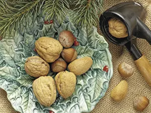 Christmasy Still Life Prints: Walnuts, almonds, hazelnuts, nutcracker