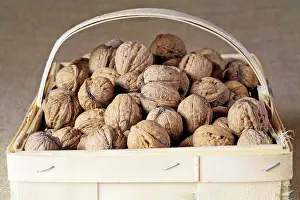 Nature Fruits Prints: Walnuts in a basket