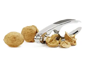 Healthy Breakfast Meal Ideas Prints: Walnuts with cracker on the white