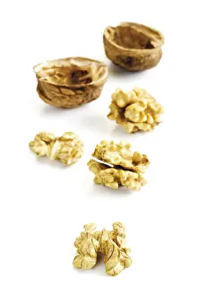 Natural Food Photography Prints: Walnuts and shells