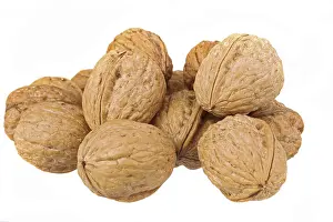 White Background Walnuts Prints: Walnuts on white background