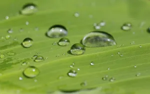 Empty Waters Scene Prints: Water drop