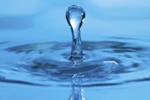 Water Drop Close Up Prints: Water drop