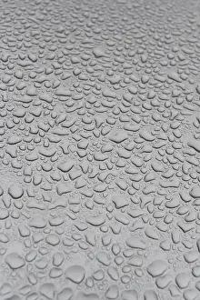 Rainy Window Pane Prints: Water drops