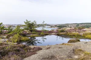 Scandinavian Mountainous Region Prints: There are many water points on the Vetteberg