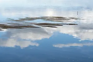 Wildlife Photography Studio Shot Prints: Water, reflection, reflection, sandbanks