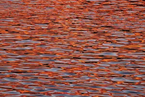 Evening Atmosphere Images Prints: Water with reflections from the sunset