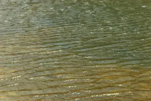 Waterfront Travel Photos Prints: Water surface
