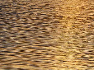 Central Europe Waterfront Prints: Water surface with structures and golden light