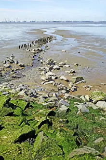 Europe Travel Images Prints: Watercourse in front of the outer dike