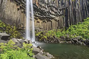 Icelandic National Park Scenery Prints: Waterfall, basalt columns, summer