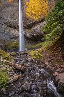 Latourell Falls Oregon Prints: Waterfall in front of basalt rock