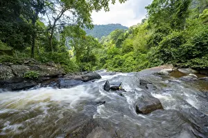 Motion Blur Waterfalls Prints: Waterfall flows through thick vegetation