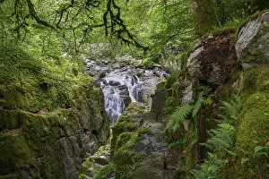 Scotland Waterfall Prints: Waterfall, Forest, The Hermitage