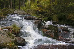 Saxony Anhalt Germany Landscape Prints: Waterfall of a low mountain stream